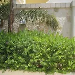 Baia Relais Mafalda * Gallipoli